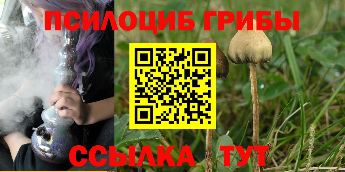 Псилоцибиновые грибы MAGIC MUSHROOMS Ивантеевка