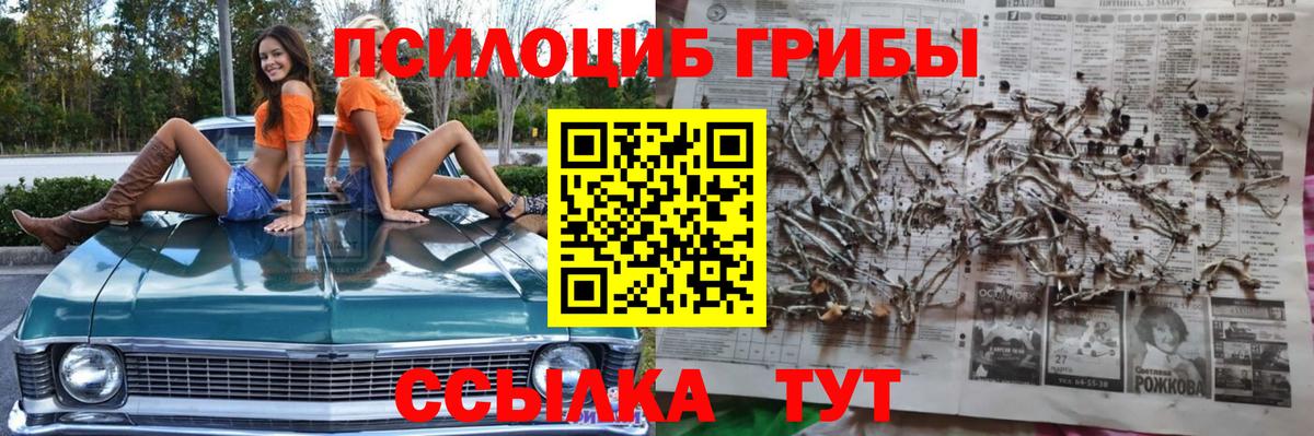 Галлюциногенные грибы мухоморы  Галлюциногенные грибы Cubensis  Ивантеевка  Вход с VPN 