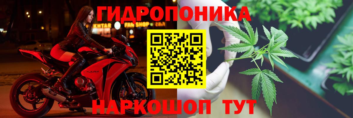 Бошки марихуана семена Ивантеевка